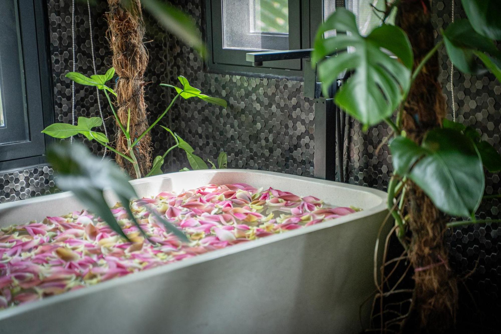 Rivertree Villa & Resort Kampot Exterior photo